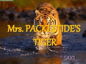 Mrs packletide's tiger author