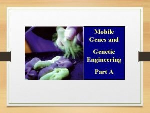 Mobile Genes and Genetic Engineering Part A Genetic