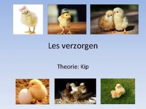 Les verzorgen Theorie Kip Algemeen Verschillende doelen Verschillende