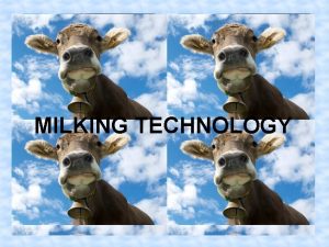 MILKING TECHNOLOGY ON A DAIRY FARM Only cows