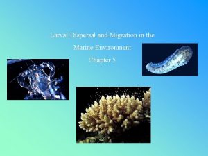 Larval Dispersal and Migration in the Marine Environment