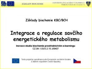 Zklady biochemie KBCBCH Integrace a regulace savho energetickho