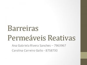 Barreiras Permeveis Reativas Ana Gabriela Rivera Sanches 7963967