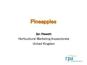 Pineapples Ian Hewett Horticultural Marketing Inspectorate United Kingdom