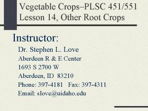 Vegetable CropsPLSC 451551 Lesson 14 Other Root Crops