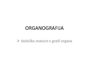 ORGANOGRAFIJA bioloka znanost o grai organa PODJELA ORGANA