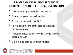 PROGRAMA DE SALUD Y SEGURIDAD OCUPACIONAL DEL SECTOR