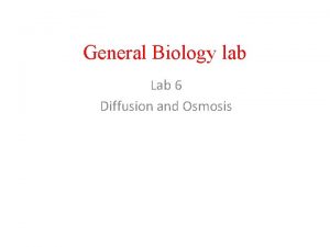 General Biology lab Lab 6 Diffusion and Osmosis