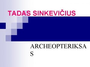 TADAS SINKEVIIUS ARCHEOPTERIKSA S Archeopteriksas lot Archaeopteryx lithographica