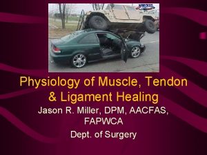 Physiology of Muscle Tendon Ligament Healing Jason R