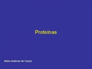 Ejemplos de tipos de proteinas
