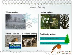 January February Winter weather Nature animals Nature plants