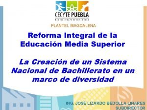 PLANTEL MAGDALENA Reforma Integral de la Educacin Media