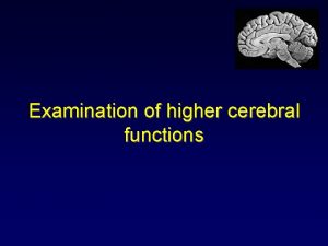 Higher cerebral function examination