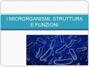 I MICRORGANISMI STRUTTURA E FUNZIONI Importanza dei microrganismi