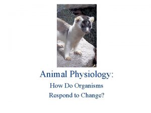 Animal Physiology How Do Organisms Respond to Change