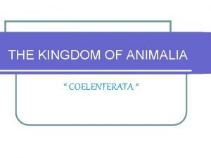 THE KINGDOM OF ANIMALIA COELENTERATA Definition of Coelenterata