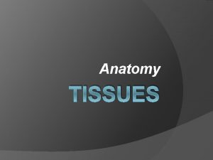 Anatomy TISSUES Tissues Four Basic Types Epithelial Tissue