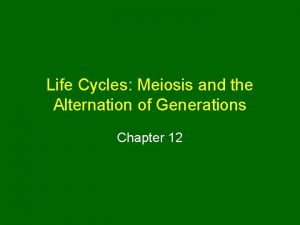Life Cycles Meiosis and the Alternation of Generations
