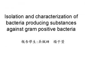 Isolation and characterization of bacteria producing substances against
