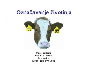 Oznaavanje ivotinja Pp prezentacija Praktina nastava I r