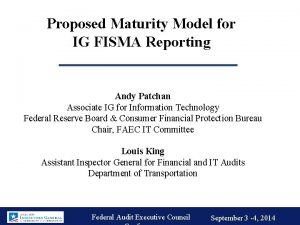 Ig maturity model