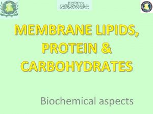 Phospholipid structure