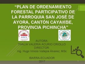 Plan de ordenamiento forestal