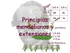 12 A AA Principios mendelianos y extensiones 12