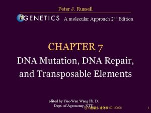 Peter J Russell A molecular Approach 2 nd Peter J Russell A molecular Approach 2 nd