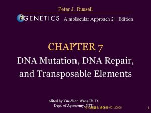 Peter J Russell A molecular Approach 2 nd