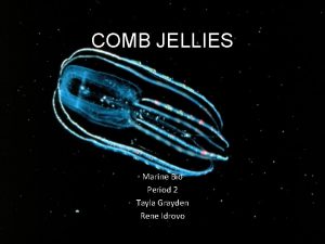 COMB JELLIES Marine Bio Period 2 Tayla Grayden