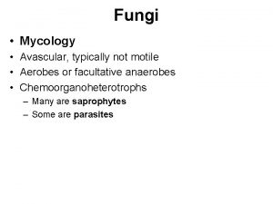 Motile fungi