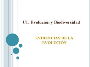 Evolucion convergente