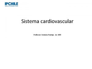 Sistema cardiovascular Professor Vernica Pantoja Lic MSP Sistema