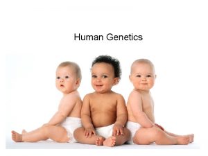 Human Genetics Human Chromosomes Karyotype picture of chromosomes