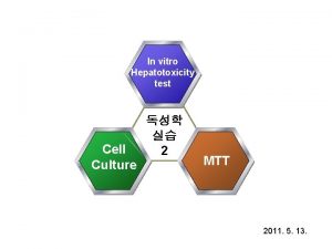 In vitro Hepatotoxicity test Cell Culture 2 MTT