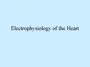 Electrophysiology of the Heart ECG Monitoring The ECG