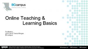 Online Teaching Learning Basics Facilitators Leva Lee Tannis