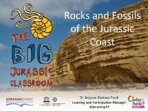 Rocks and Fossils of the Jurassic Coast Dr
