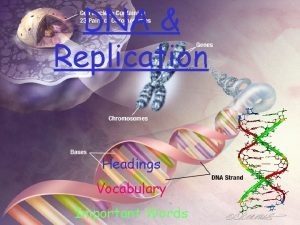 DNA Replication Headings Vocabulary Important Words NUCLEUS CHROMOSOME