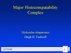 Major Histocompatability Complex Molecular chaparones Hugh B Fackrell