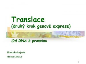 Translace druh krok genov exprese Od RNA k