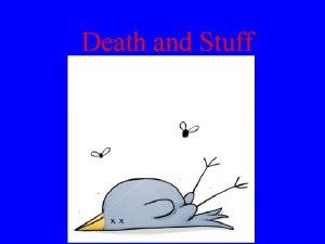 Life cycle of blowfly
