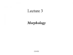 Lecture 3 Morphology CS 4705 What is morphology