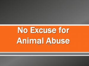 No Excuse for Animal Abuse Signs of animal