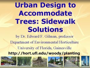 Urban Design to Accommodate Trees Sidewalk Solutions by