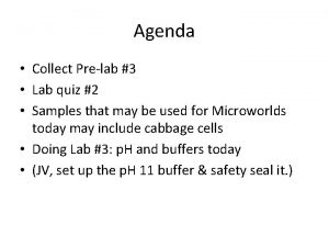 Agenda Collect Prelab 3 Lab quiz 2 Samples