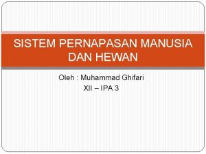 SISTEM PERNAPASAN MANUSIA DAN HEWAN Oleh Muhammad Ghifari