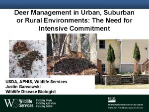 Deer Management in Urban Suburban or Rural Environments